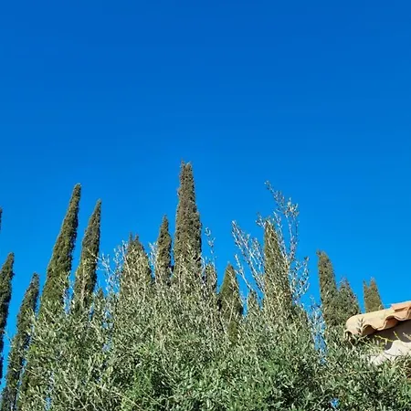 Mas De La Petite Jeanne Apartamento Grimaud Exterior foto