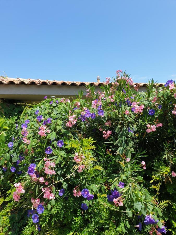 Mas De La Petite Jeanne Appartement Grimaud