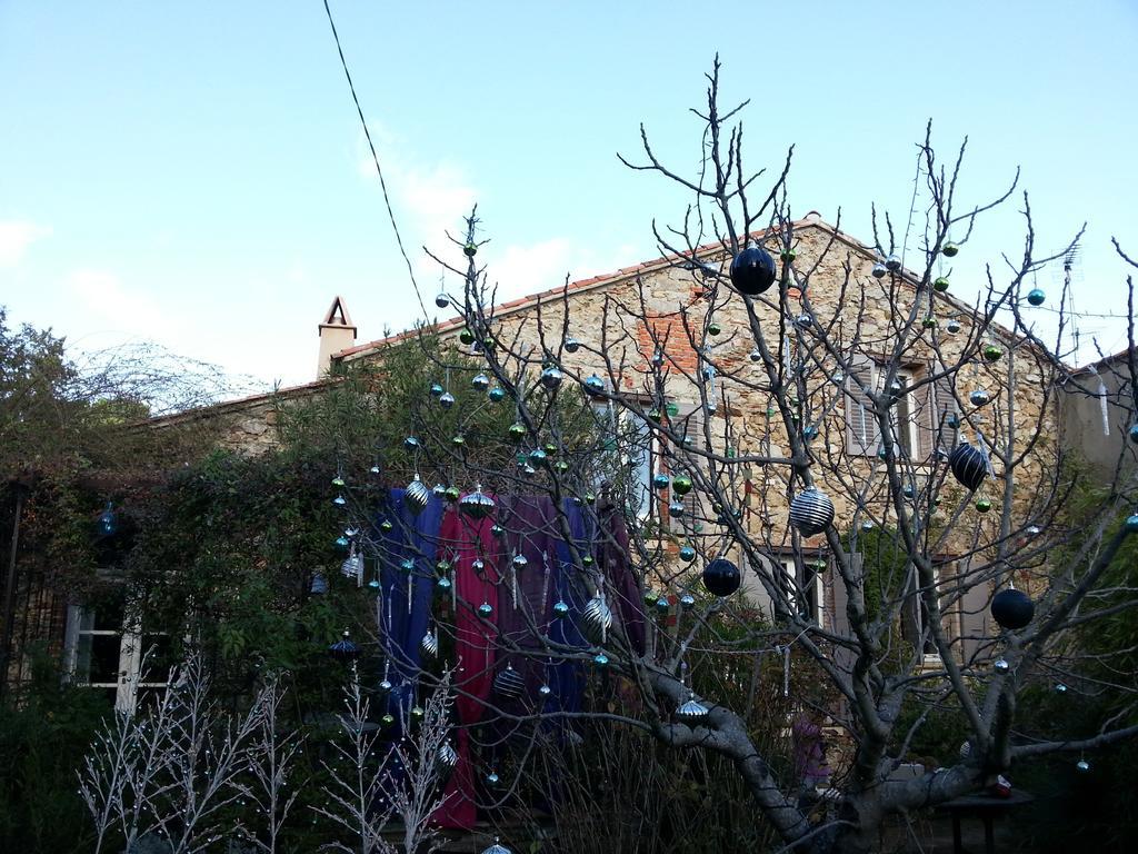 Mas De La Petite Jeanne Grimaud