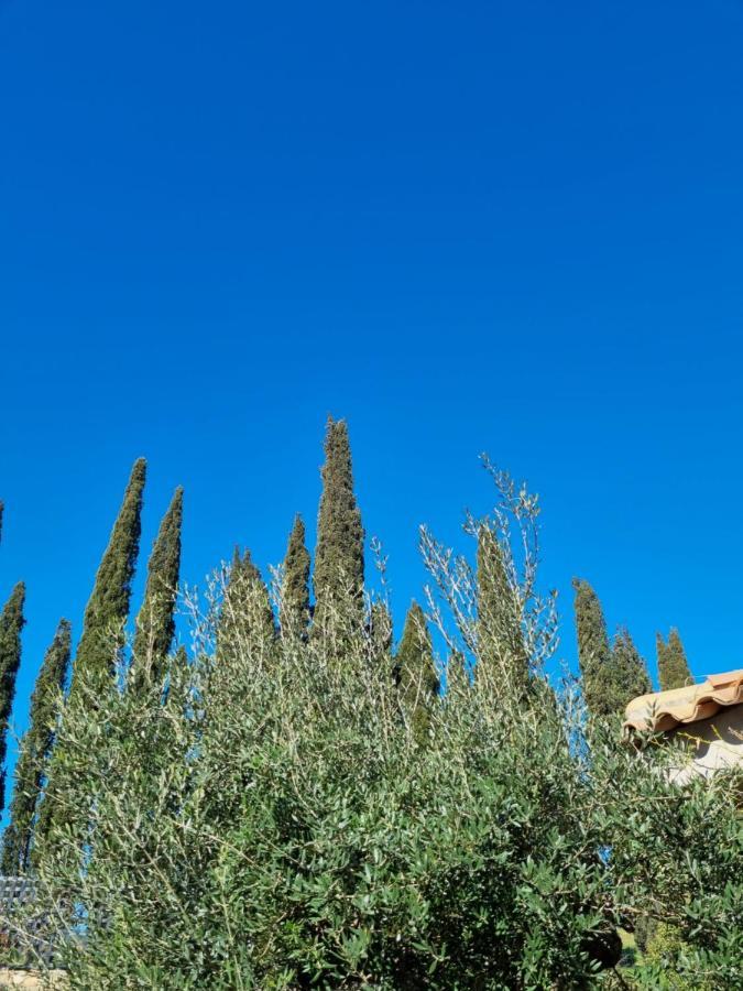 Mas De La Petite Jeanne Grimaud